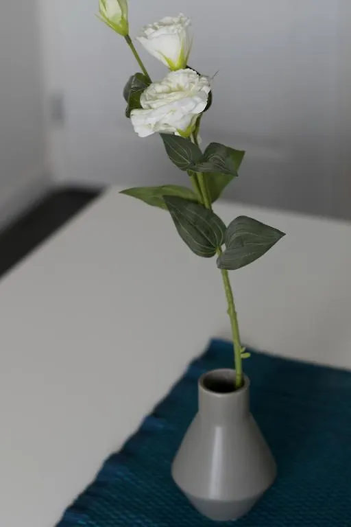 White Moon Apartment Amsterdam Netherlands